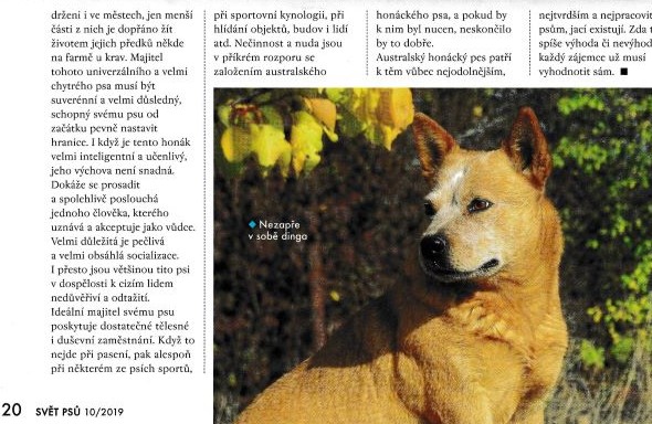 IMG 20191011 0005 page 001