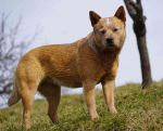 dsc06016_optimized